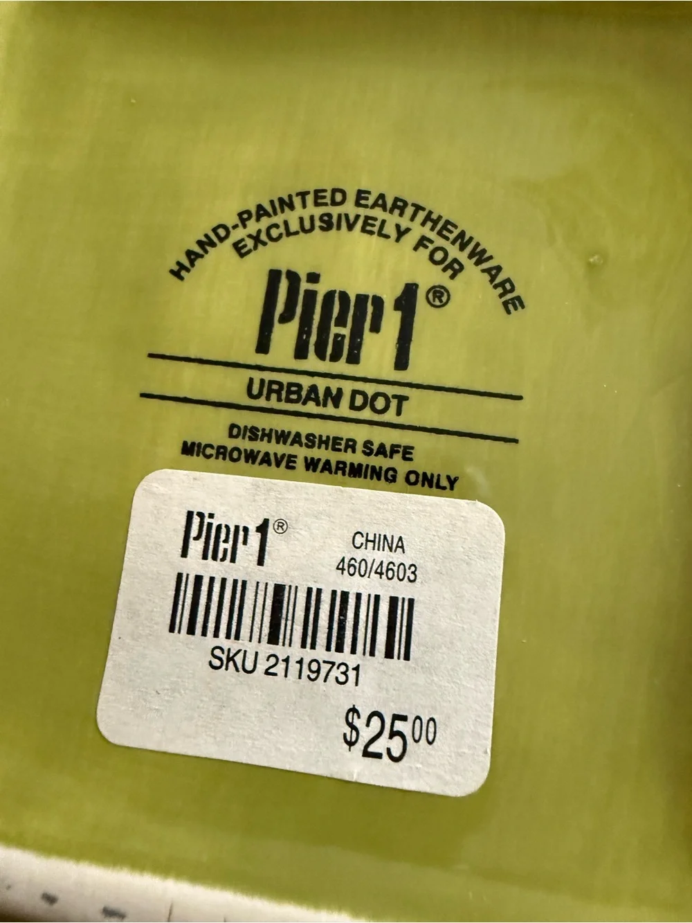 Pier 1 Urban Dot Hand Painted Earthenware
